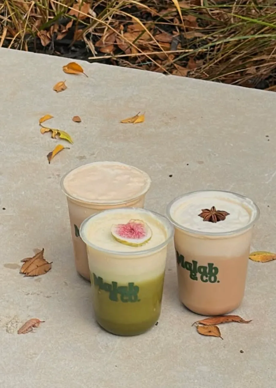 Three Malab cups on stone among fall leaves, one topped with a fig slice
